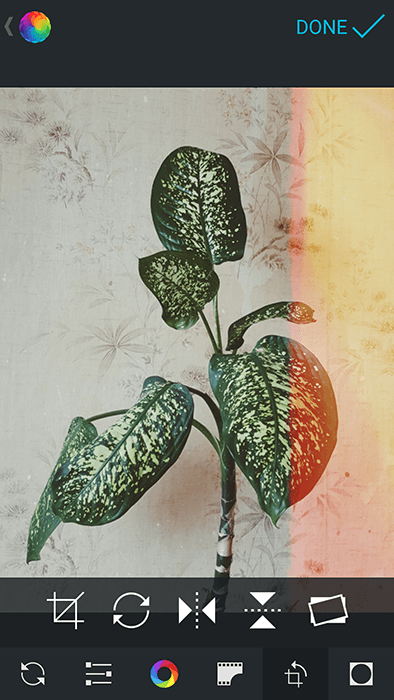 A screenshot of using Afterlight app to edit a photo of a house plant