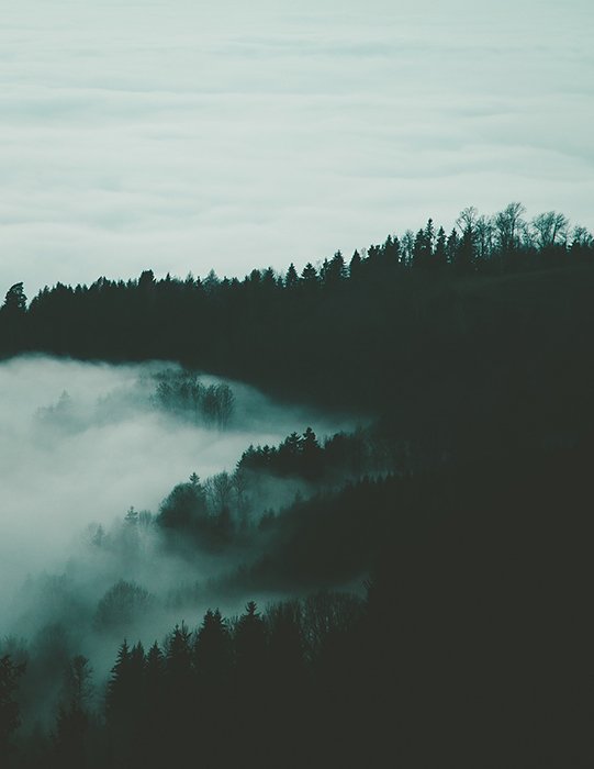 Una imagen oscura de un bosque de silueta con nubes