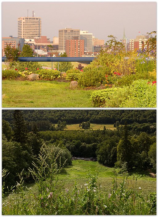 A diptych of two different style landscape photos 