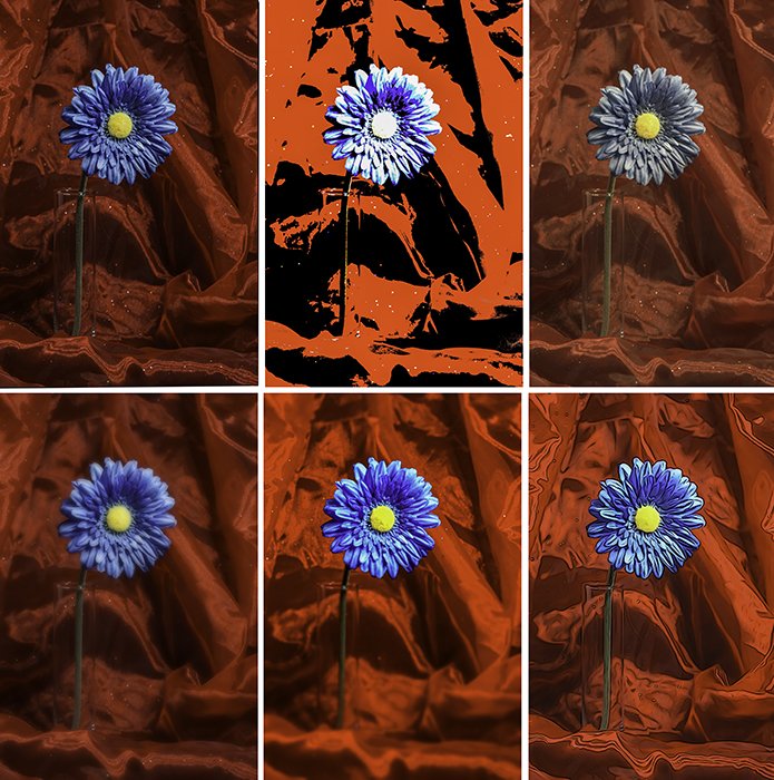A six photo grid of the same blue flower, highlighting the experimentation photography effects of posterization, retro, soft focus, miniature, and illustration.