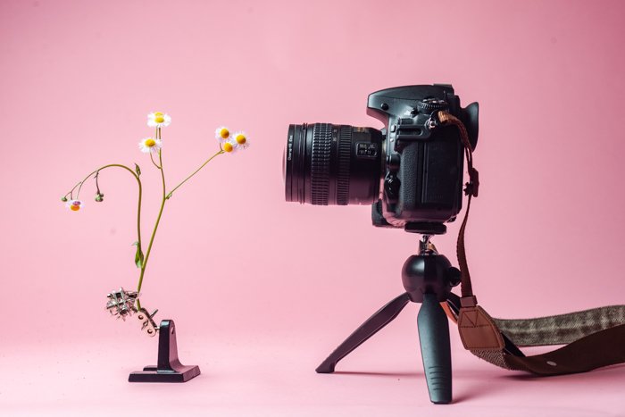 Photo of a DSLR camera on a tripod using close-up filters to take a picture of a flower