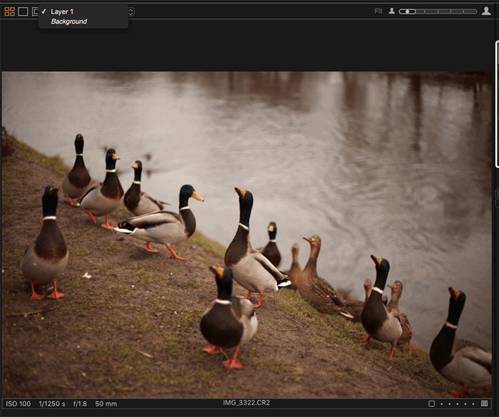 Capture One vs Lightroom  Which is Really Better   2023 - 76