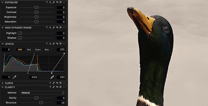 post processing wildlife photos in capture one pro 12