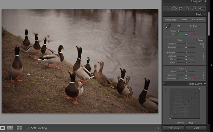 Capture One vs Lightroom (Which is Really Better?) 2023