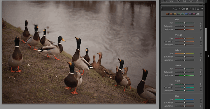 Capture One vs Lightroom  Which is Really Better   2023 - 58