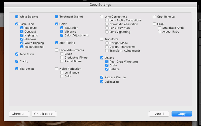 A screenshot of copy settings in Lightroom