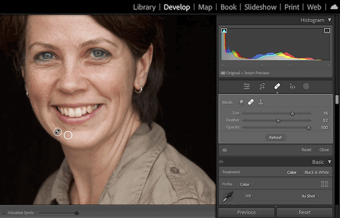 Screenshot of Healing tool being used in Adobe Lightroom