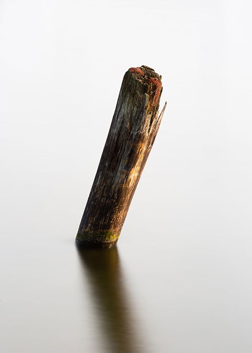 a wooden pole in water