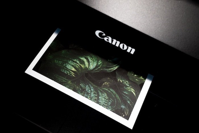A Canon printer printing a photo of leaves