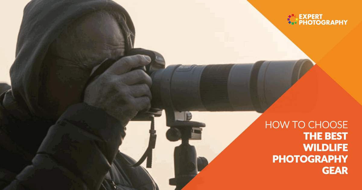 Men Mountaineer Klasseværelse How to Choose the Best Wildlife Photography Gear