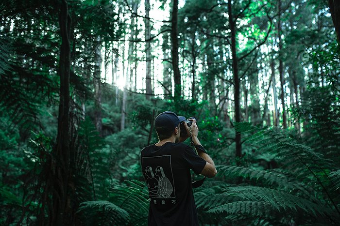 A man shooting photos in a green forest