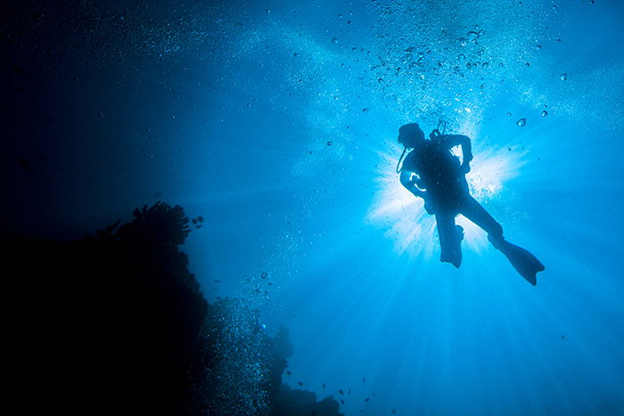 Diver photographed underwater in a negative space composition.