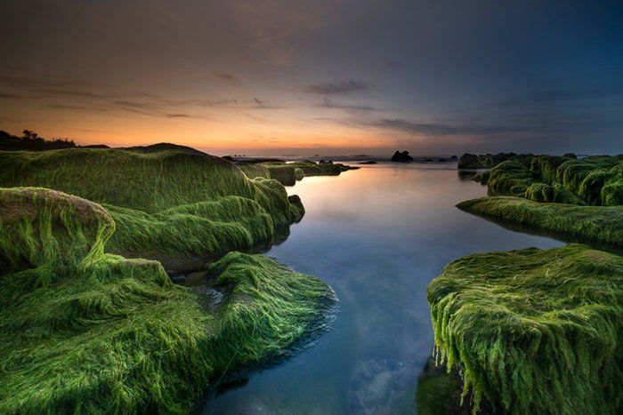 River with mossy green riverbanks shot with long exposure