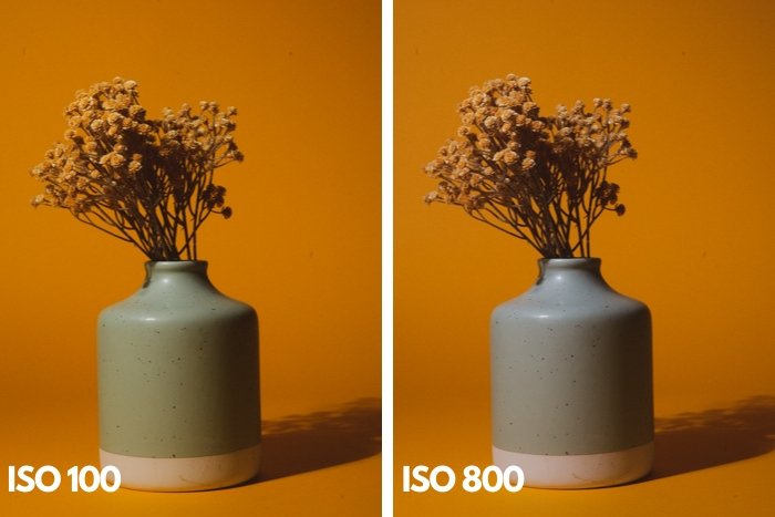 Diptych of a vase of flowers at different iso settings