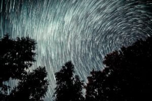 Circular start trails with tree silhouettes for a night sky time-lapse image