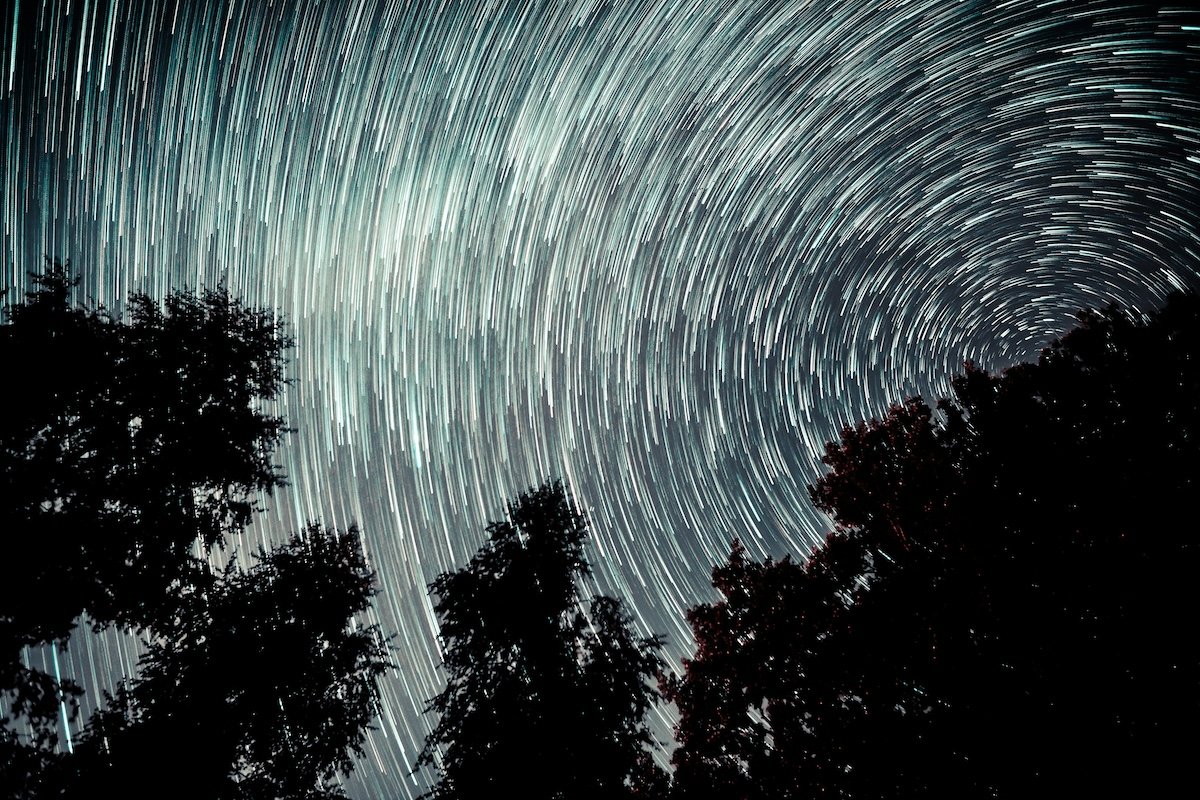Circular star trails against tree silhouettes for night-sky time-lapse photography