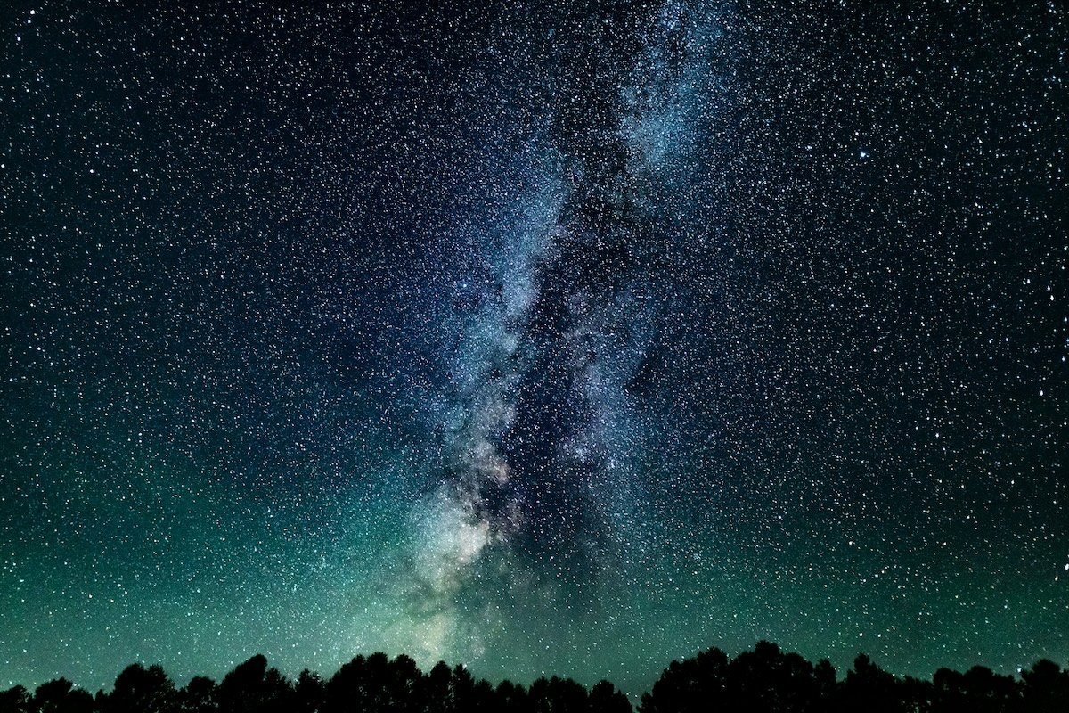 Night sky time-lapse photo with the Milky Way and tree silhouettes