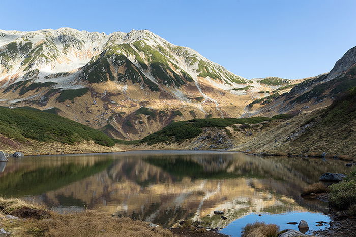 Beautiful reflection of a pond.