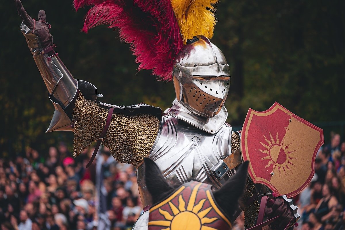 A sharp image of a knight in armor with a shield and arm raised