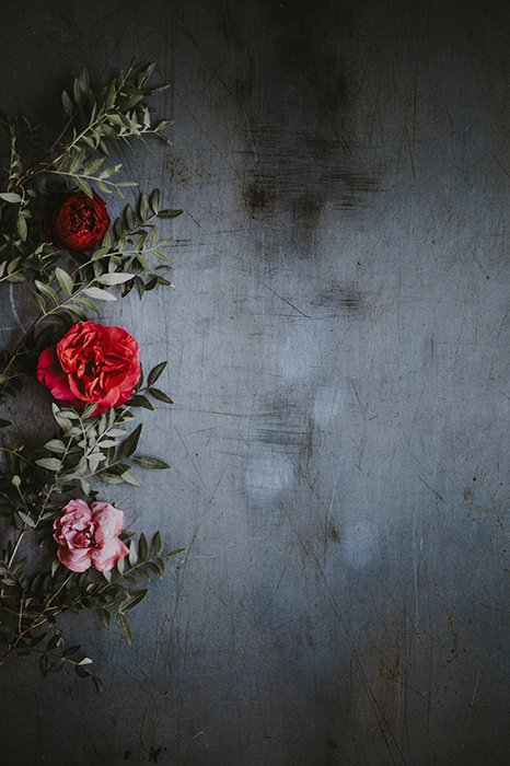 Red roses against a scratchy dark background 
