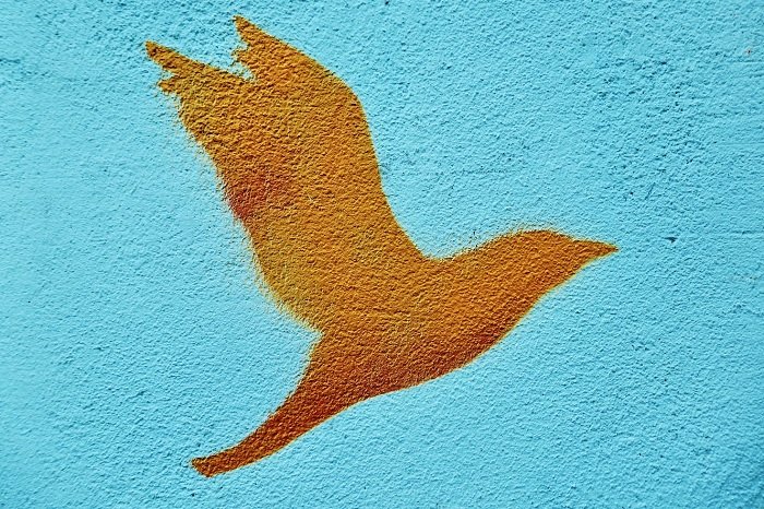 Yellow bird spray painted on a blue wall