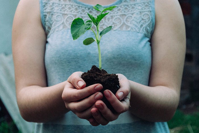 Woman Holding Plant. Being climate-conscious is a growing trend in photography