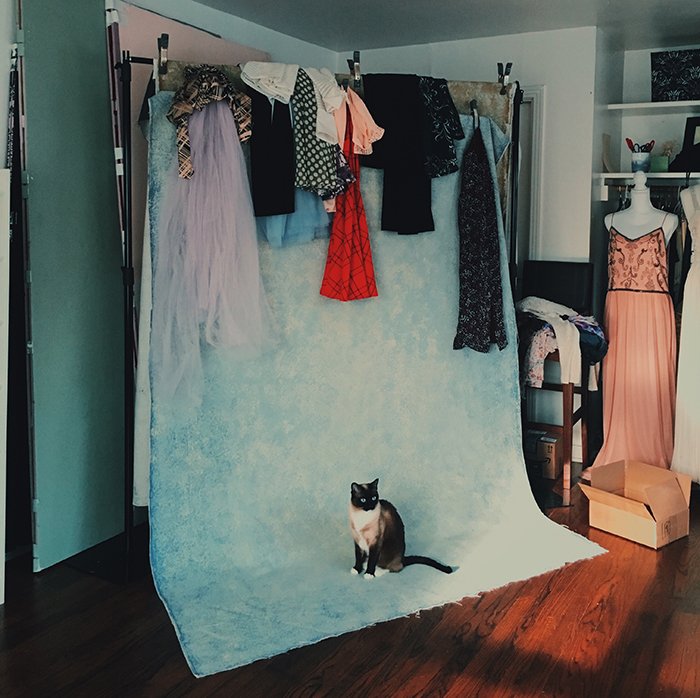 Photography background with a cute little cat.