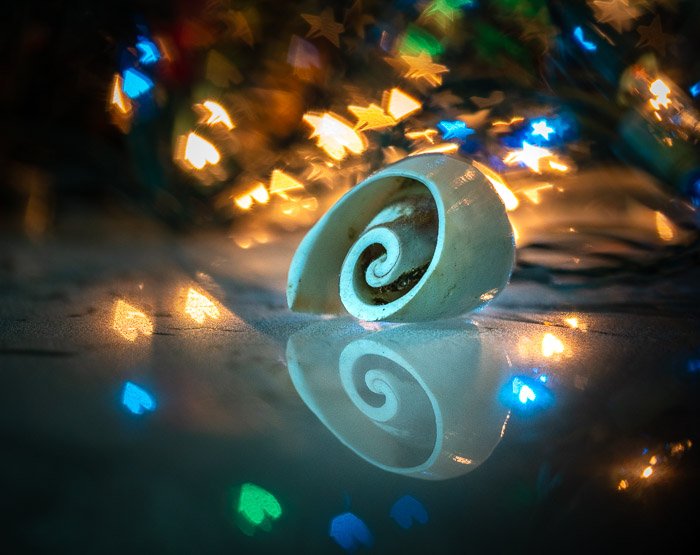 photo of an object with custom heart-shaped bokeh effect