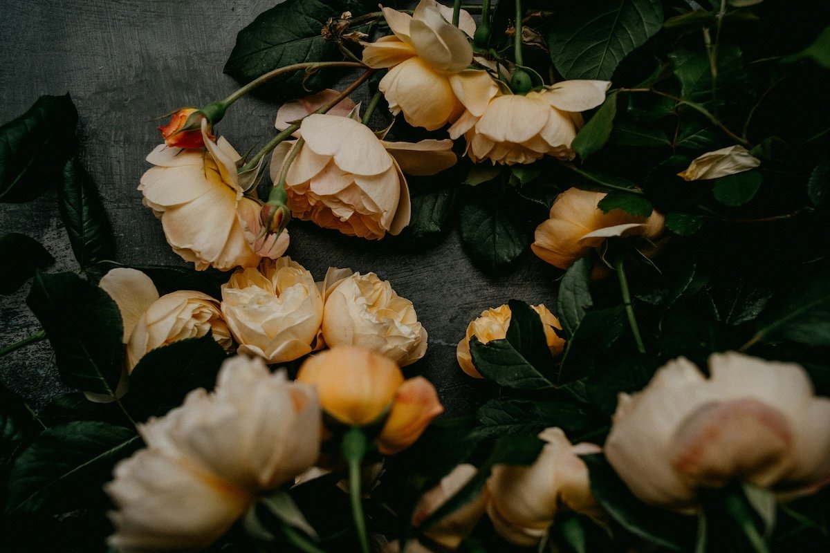 A flat lay of arranged flowers on a table