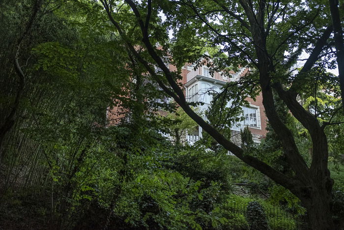 A building seen through trees