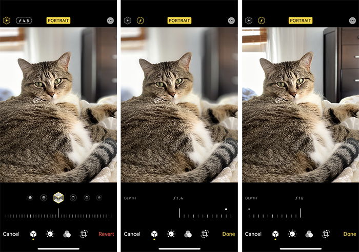 Triptych cat portrait using iPhone at f/4.5, f/1.4, and f/16.
