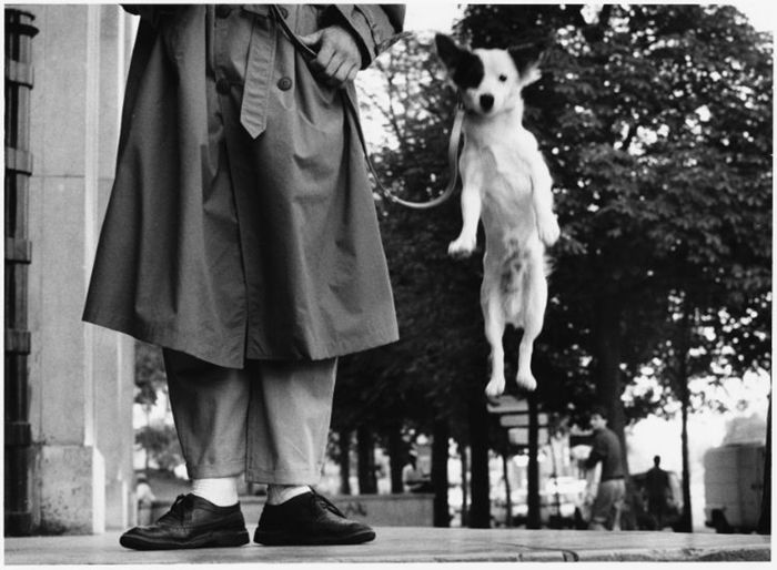 Paris, 1989. Photo by Elliott Erwitt