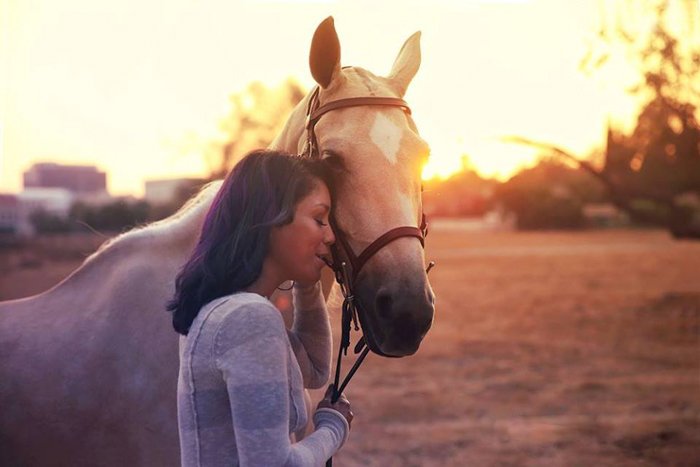 15 Horse Photography Tips for Beautiful Photos - 89