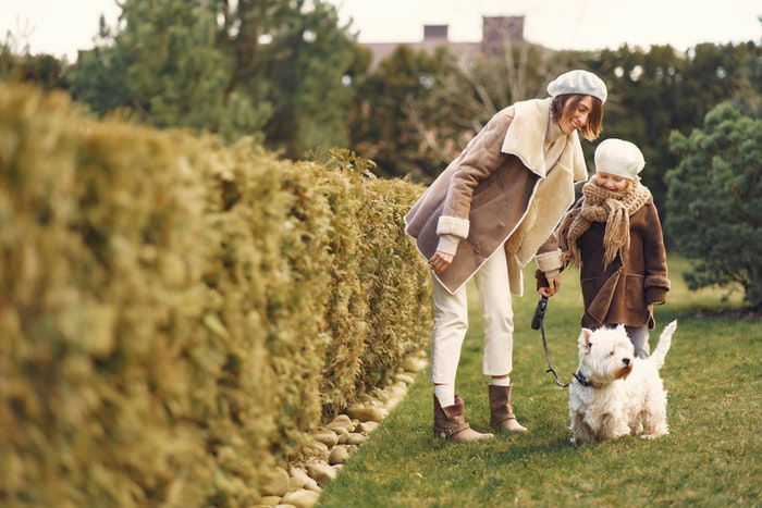 A mother and daughter walking a small dog as an example of family photos with pets