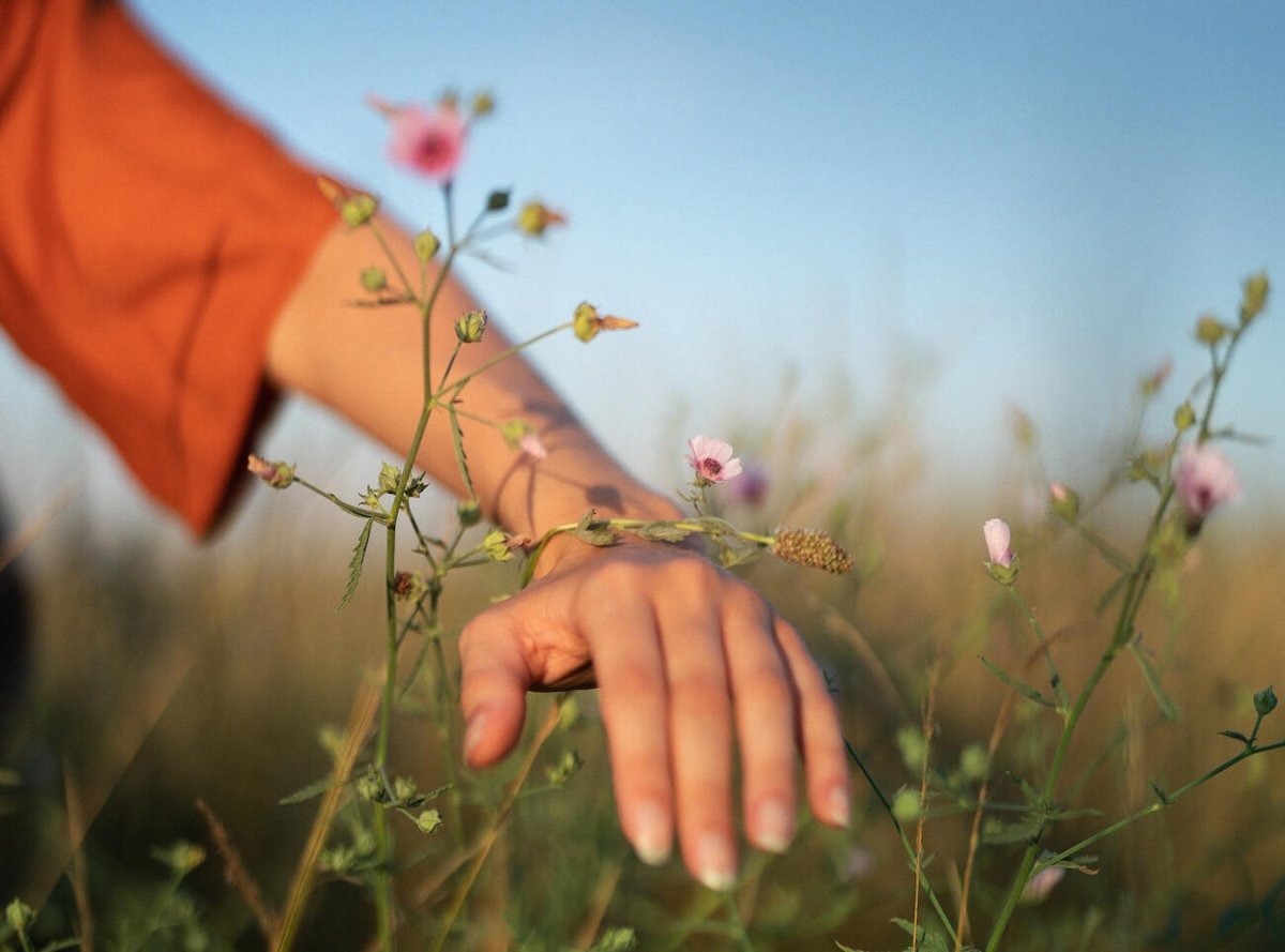 A person's hand passing over flowers by one of the best nature photographers Simone Bramante