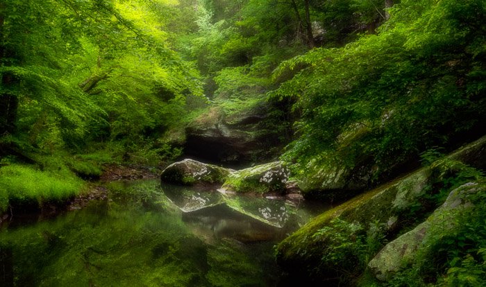 Photo of a small lake in a forest with orton effect