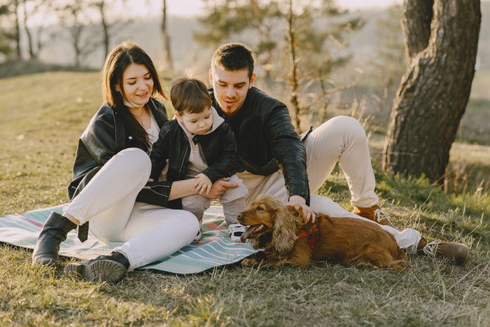 11 Best Techniques For Taking Family Photos With Dogs | expertphotography