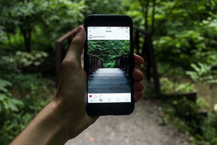 A person photographing a walk through a forest with a smartphone