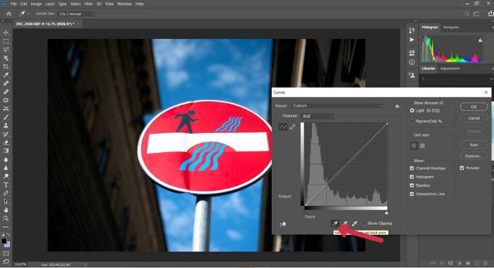 How to Adjust White Balance in Photoshop  Step by Step  - 31