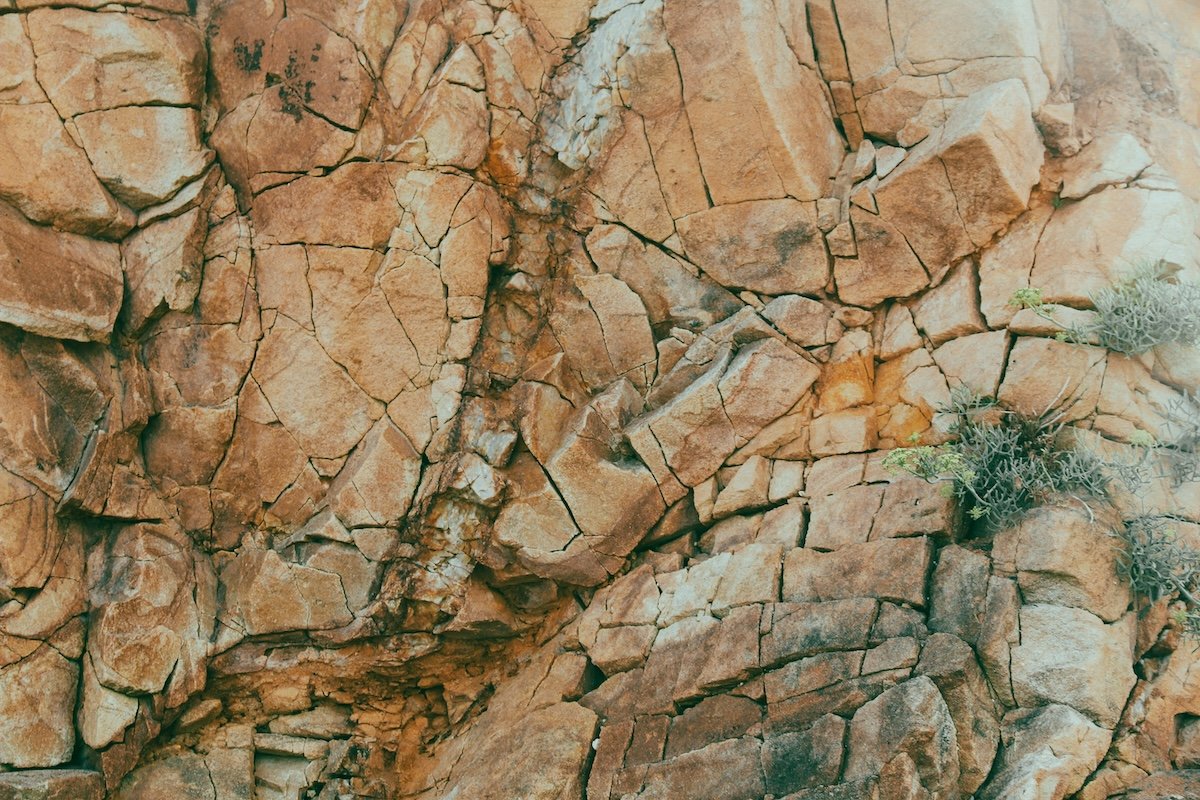 A wall of desert rock with cracks and textures