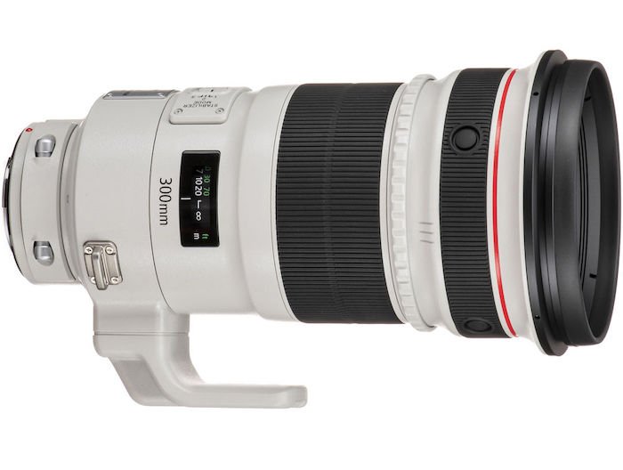 300 mm lens for birds photography