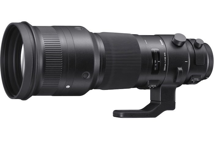 Sigma 500mm f4 DG OS Sport lens for birding photography