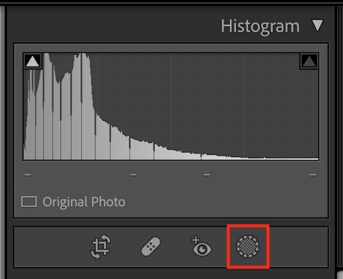 Screenshot of highlighted masking icon in Lightroom Classic