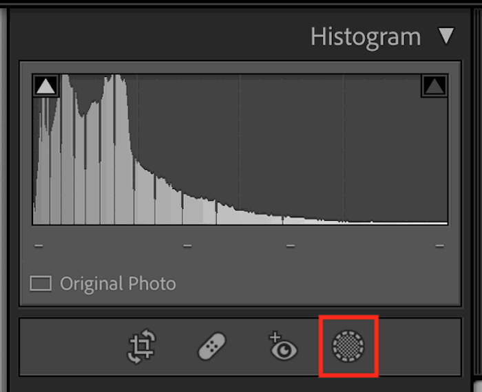 Screenshot of highlighted masking icon in Lightroom Classic