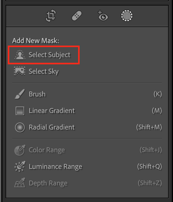 Screenshot of highlighted subject mask in Lightroom Classic