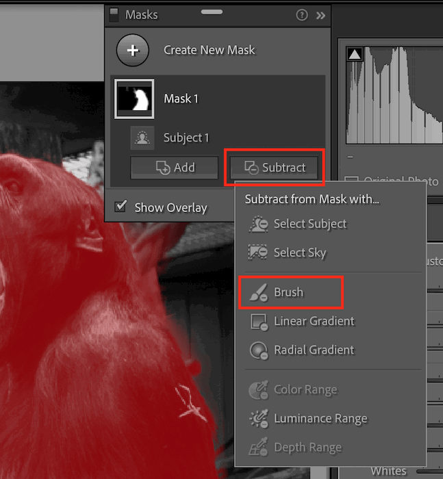 Screenshot of selecting Subtract brush in Lightroom Classic