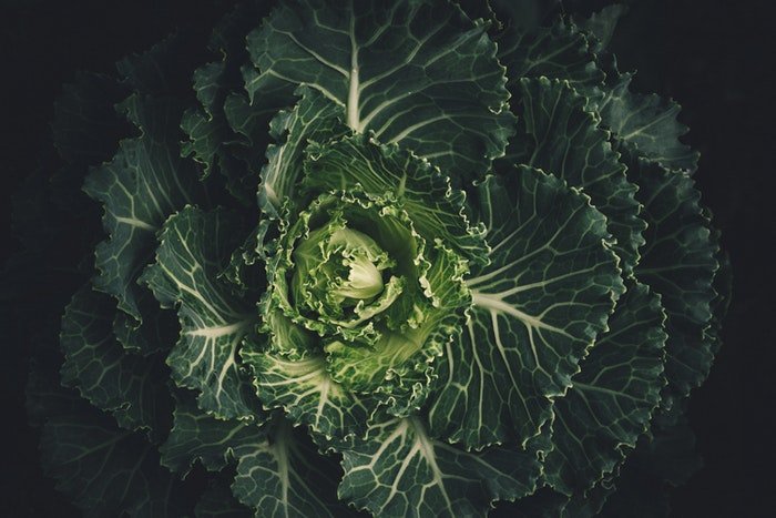 Moody photo of the center of a cabbage