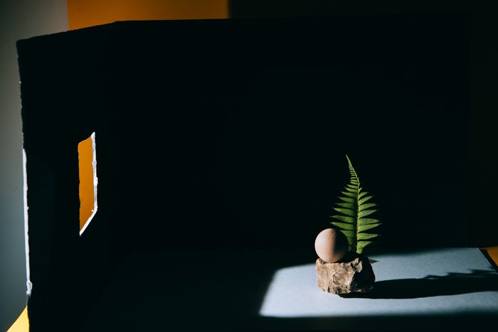 photo of a still life composition of a small rock and a leaf with black cardboard behind