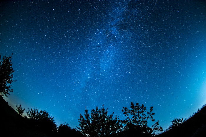 Impressive starry sky over silhouettes of trees