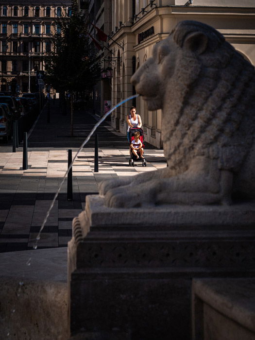 A lion fountain in Budapest